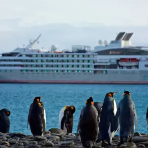 Explore Highlights of Antarctica (MS Roald Amundsen, 2025) for 12 days with Hurtigruten and discover unforgettable experiences - Photo 7