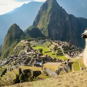 Explore In Darwin’s Footsteps | Plus Machu Picchu (Eastern Route) (2025) for 12 days with Hurtigruten and discover unforgettable experiences - Photo 3