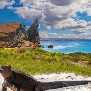 Explore Iconic Wildlife & Sublime Scenery (Western Route) (2025) for 7 days with Hurtigruten and discover unforgettable experiences - Photo 3