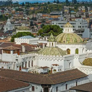 Explore Nature and Wildlife Expedition Cruise (Northern Route) (2025) for 7 days with Hurtigruten and discover unforgettable experiences - Photo 9