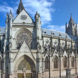 Explore Nature and Wildlife Expedition Cruise (Northern Route) (2025) for 7 days with Hurtigruten and discover unforgettable experiences - Photo 11