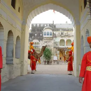 Explore 11- Day Enthralling  Rajasthan Tour : Tigers  Palaces  Folk Dances Slow-Cooked Food  Lake Cruises for 11 days with IHCT Heritage & Adventure  Tours and discover unforgettable experiences - Photo 8