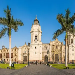 Explore Iconic Wildlife & Sublime Scenery | Plus Machu Picchu (Western Route) (2025) for 10 days with Hurtigruten and discover unforgettable experiences - Photo 10