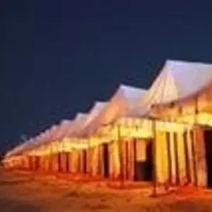 Explore 10-Day Unforgettable  Wildlife Tour of Gujarat from Ahmedabad: Asiatic Lions, Wild Asses & Greater Flamingoes for 10 days with IHCT Heritage & Adventure  Tours and discover unforgettable experiences - Photo 8