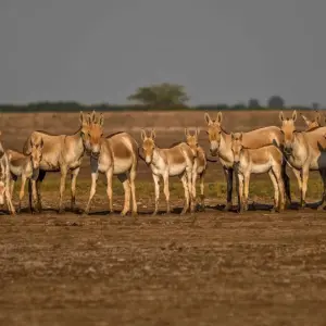 Explore 10-Day  Memorable Taj Mahal and Khajuraho Tour: Agra, Gwalior, Datia and Orchha (from New Delhi to Varanasi) for 10 days with IHCT Heritage & Adventure  Tours and discover unforgettable experiences - Photo 8