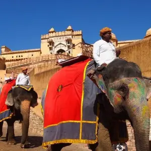 Explore 10-Day Wellness Camp  In  India's  Pink City -  Jaipur With Cultural  & Heritage Experiences for 10 days with IHCT Heritage & Adventure  Tours and discover unforgettable experiences - Photo 7