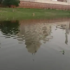 Explore Sunrise Taj Mahal Tour From Delhi for 1 days with ITS holidays and discover unforgettable experiences - Photo 9