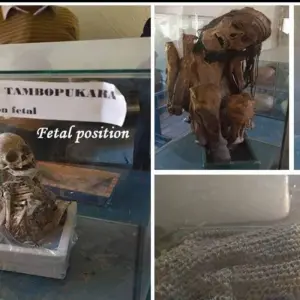 Explore 4/3 Waqrapucara Hike or Huacrapucara (Private Only) for 4 days with ILE Tours and discover unforgettable experiences - Photo 2