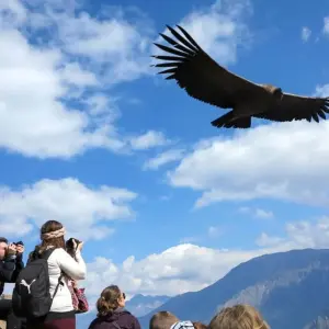 Explore 11/10 Lima, Cusco, Machu Picchu, Lake Titicaca, Colca Canyon, Arequipa (Small Group Tours) for 11 days with ILE Tours and discover unforgettable experiences - Photo 2