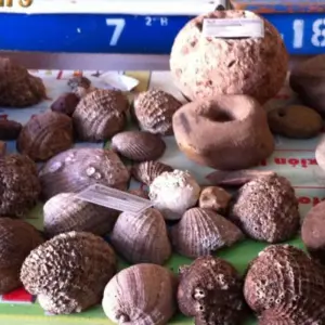 Explore 4/3 Waqrapucara Hike or Huacrapucara (Private Only) for 4 days with ILE Tours and discover unforgettable experiences - Photo 5