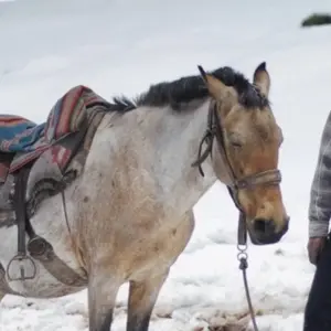 Explore 5/4 Salkantay Hike (Small Group Trek) for 5 days with ILE Tours and discover unforgettable experiences - Photo 5