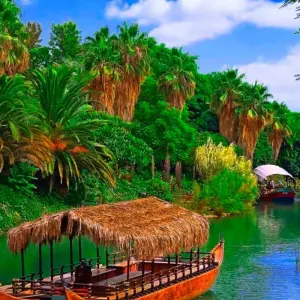 Explore 3/2 Iquitos Jungle Rainforest (Small Group) for 3 days with ILE Tours and discover unforgettable experiences - Photo 4