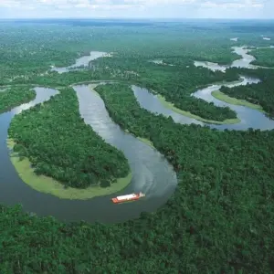 Explore 3/2 Iquitos Jungle Rainforest (Small Group) for 3 days with ILE Tours and discover unforgettable experiences - Photo 5
