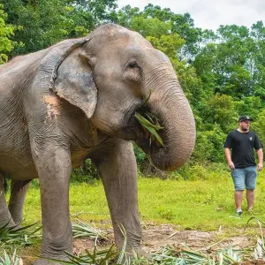 Explore Thai Experience for 13 days with INTRO Travel and discover unforgettable experiences - Photo 10