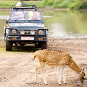 Explore India Experience for 13 days with INTRO Travel and discover unforgettable experiences - Photo 4