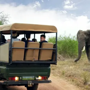 Explore South Africa Adventure for 12 days with INTRO Travel and discover unforgettable experiences - Photo 4