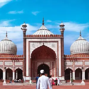 Explore India Experience for 13 days with INTRO Travel and discover unforgettable experiences - Photo 10