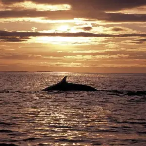 Explore 8 day Self-drive tour | Ring Road Highlights for 8 days with Iceland Travel and discover unforgettable experiences - Photo 3