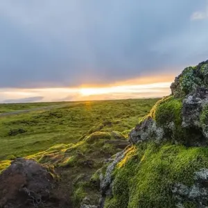 Explore 10 day Guided tour | Iceland Complete - Small Group for 10 days with Iceland Travel and discover unforgettable experiences - Photo 3
