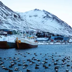 Explore 9 days Guided tour | Iceland Complete – Northern Lights Edition for 9 days with Iceland Travel and discover unforgettable experiences - Photo 3