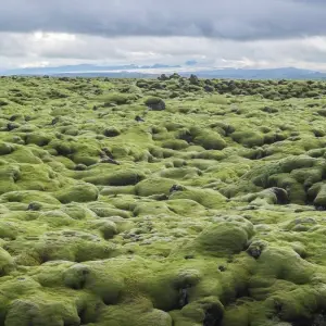 Explore 8 day Self-drive tour | Fantastic Iceland for 8 days with Iceland Travel and discover unforgettable experiences - Photo 5