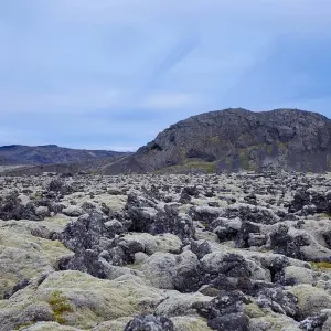 Explore 7 day Self-drive tour | Winter Wonders and Delicious Detours for 7 days with Iceland Travel and discover unforgettable experiences - Photo 10
