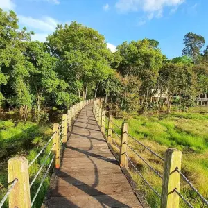 Explore 3 Days/2 Nights in Nam Cat Tien - Ecological Trails – Night Safari – Gibbon Trekk - Crocodile Lake – Boat Tour for 3 days with Ideal Travel Asia and discover unforgettable experiences - Photo 2