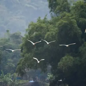 Explore Mild Adventure North Vietnam - Exploring Ba Be National Park 10 Days/9 Nights for 10 days with Ideal Travel Asia and discover unforgettable experiences - Photo 3