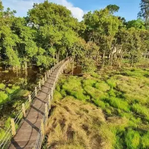 Explore 3 Days/2 Nights in Nam Car Tien - Ecological Trail – Night Safari – Crocodile Lake – Boat Tour for 3 days with Ideal Travel Asia and discover unforgettable experiences - Photo 4