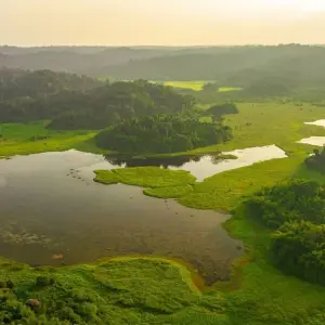 Explore 2 Days/1 Night in Nam Cat Tien - Ecological Trails – Night Safari – Crocodile Lake for 2 days with Ideal Travel Asia and discover unforgettable experiences - Photo 6