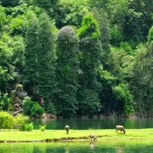 Explore Mild Adventure North Vietnam - Exploring Ba Be National Park 10 Days/9 Nights for 10 days with Ideal Travel Asia and discover unforgettable experiences - Photo 6