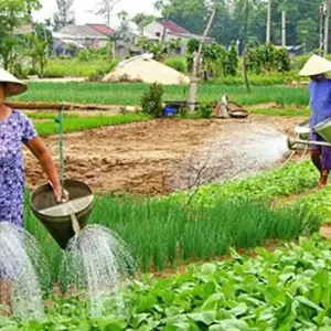 Explore Mild Adventure North - Overnight Traing & Trekking at Sapa 10 Days/9 Nights for 10 days with Ideal Travel Asia and discover unforgettable experiences - Photo 3