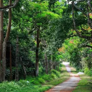 Explore Mild Adventure North Vietnam - Exploring Cuc Phuong National Park 10 Days/9 Nights for 10 days with Ideal Travel Asia and discover unforgettable experiences - Photo 6