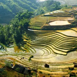 Explore Mild Adventure North - Overnight Traing & Trekking at Sapa 10 Days/9 Nights for 10 days with Ideal Travel Asia and discover unforgettable experiences - Photo 4