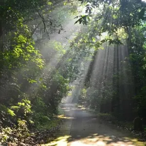 Explore Mild Adventure North Vietnam - Exploring Cuc Phuong National Park 10 Days/9 Nights for 10 days with Ideal Travel Asia and discover unforgettable experiences - Photo 7