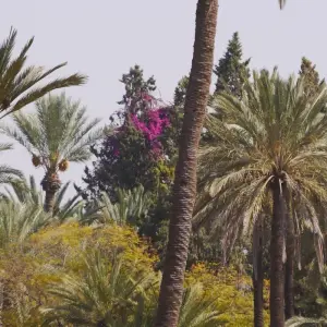 Explore 5-Day Private Imperial Cities Tour of Morocco for 5 days with Imago Travel and discover unforgettable experiences - Photo 2