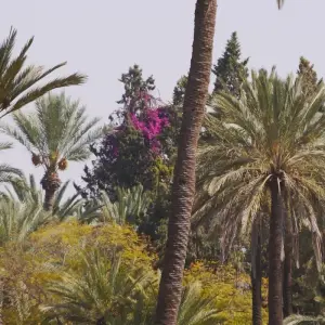 Explore 6-Day Private Imperial Cities Tour of Morocco for 6 days with Imago Travel and discover unforgettable experiences - Photo 5