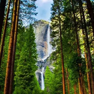 Explore Yosemite Highlights Tour for 5 days with Incredible Adventures and discover unforgettable experiences - Photo 2