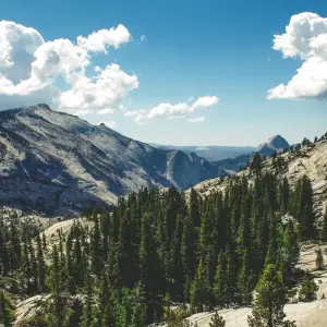 Explore Yosemite & Tahoe Sierras - 4 Days for 4 days with Incredible Adventures and discover unforgettable experiences - Photo 3