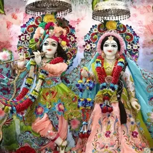 Explore Delhi to Taj Mahal, Agra and Mathura with Elephant Conservation Tour 2 days for 2 days with India Taj Tour and discover unforgettable experiences - Photo 2