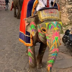 Explore Private Golden Triangle Tour 5 Days Package (Delhi-Agra-Jaipur) for 5 days with India Taj Tour and discover unforgettable experiences - Photo 2