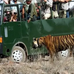 Explore 4-Day Golden Triangle & Ranthambore Tiger Safari from Delhi for 4 days with India Taj Tour and discover unforgettable experiences - Photo 4
