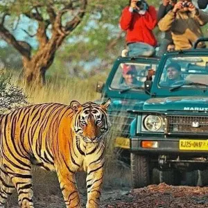Explore 4-Day Golden Triangle & Ranthambore Tiger Safari from Delhi for 4 days with India Taj Tour and discover unforgettable experiences - Photo 6