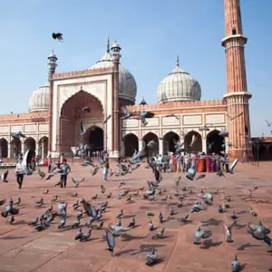 Explore Delhi: Old and New Delhi City Private Guided Day Tour by car for 1 days with India Taj Tour and discover unforgettable experiences - Photo 6