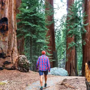 Explore Yosemite Overnight Lodging Tour - 2 Days for 2 days with Incredible Adventures and discover unforgettable experiences - Photo 11