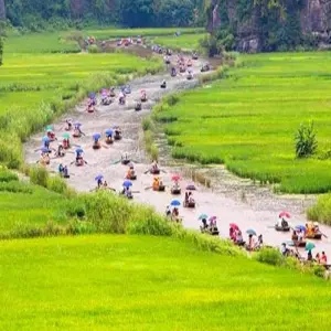 Explore 19-Day in Vietnam - Immersing in the Rich Emotions for 19 days with Indochina Today Travel and discover unforgettable experiences - Photo 2