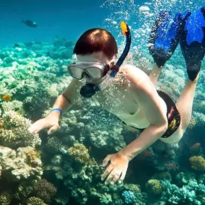 Explore 18 Days Vietnam - Land of Magnificent Cultural Heritage for 18 days with Indochina Today Travel and discover unforgettable experiences - Photo 3