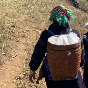 Explore 14-Day Vietnam Vacation - Explorer - Activities for 14 days with Indochina Today Travel and discover unforgettable experiences - Photo 3