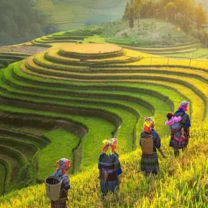 Explore 20-Day Vietnam Discover, Culture, Cuisine, Local Life, All Activities, Meals for 20 days with Indochina Today Travel and discover unforgettable experiences - Photo 5