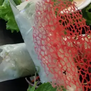 Explore 17-Day Explore Vietnam's Wonders for 17 days with Indochina Today Travel and discover unforgettable experiences - Photo 7